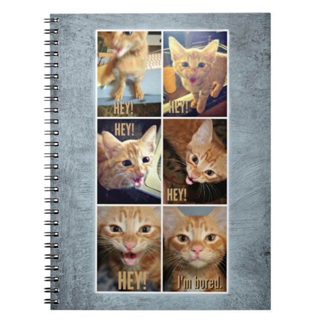 Gewundenes Notizbuch für fantastische Sachen Notizblock (Vorderseite)