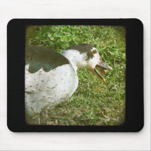 Gewürz isst und mahnt mousepad