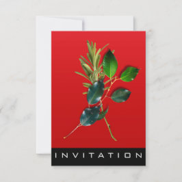 Gewürze Italienischer Koch Abendessen Haus Roter W Einladung