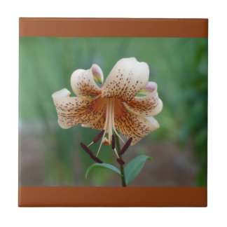 Gezackte Lilie Dekorative Fliese