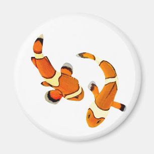 Gezänk Clownfish Magnet