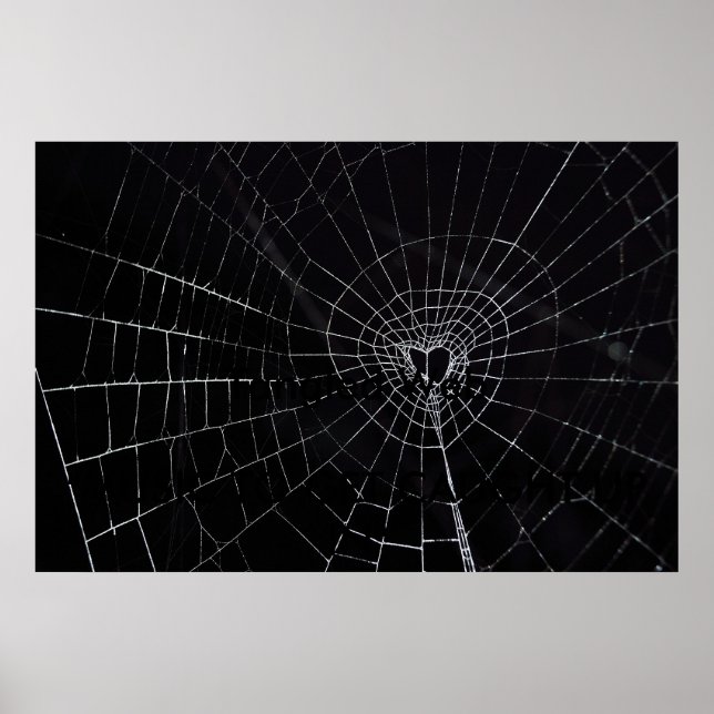 Gezänktes Web Poster (Vorne)