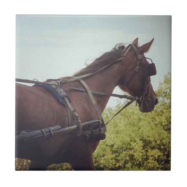 Gezeichnet Transport Fliese (Vorderseite)