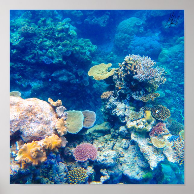 Gezeichnet von Great Barrier Reef Coral - #1 Poster (Vorne)