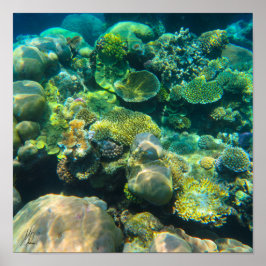 Gezeichnet von Great Barrier Reef Coral - #2 Poster