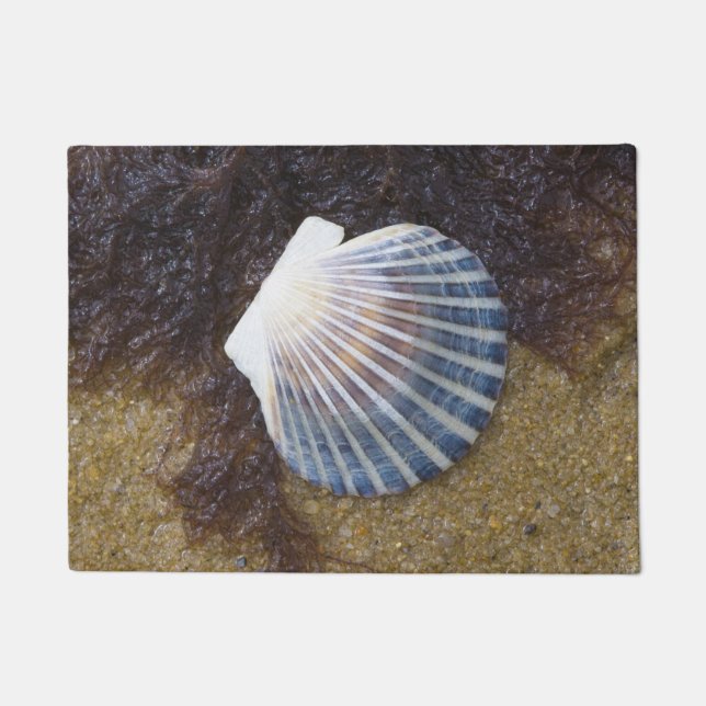 Gezeiten- Pool Fußmatte (Vorderseite)