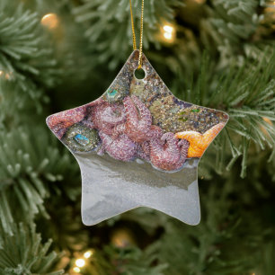 Gezeitenbad, Ruby Beach, Olympischer Nationalpark Keramikornament