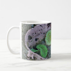 Gezeitenbecken im Pazifischen Nordwesten mit grüne Kaffeetasse