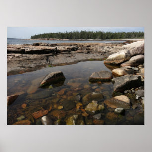 Gezeitentümpel bei Wonderland im Acadia National P Poster