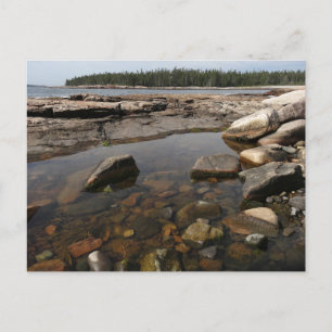Gezeitentümpel bei Wonderland im Acadia National P Postkarte