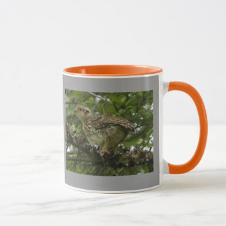 Geziertes Waldhuhn-Küken-Tasse Tasse