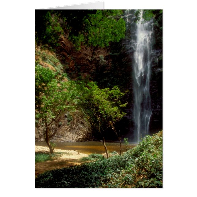 Ghana: Wli Falls, alias Agumatsa Falls (Volta Fall (Vorne)