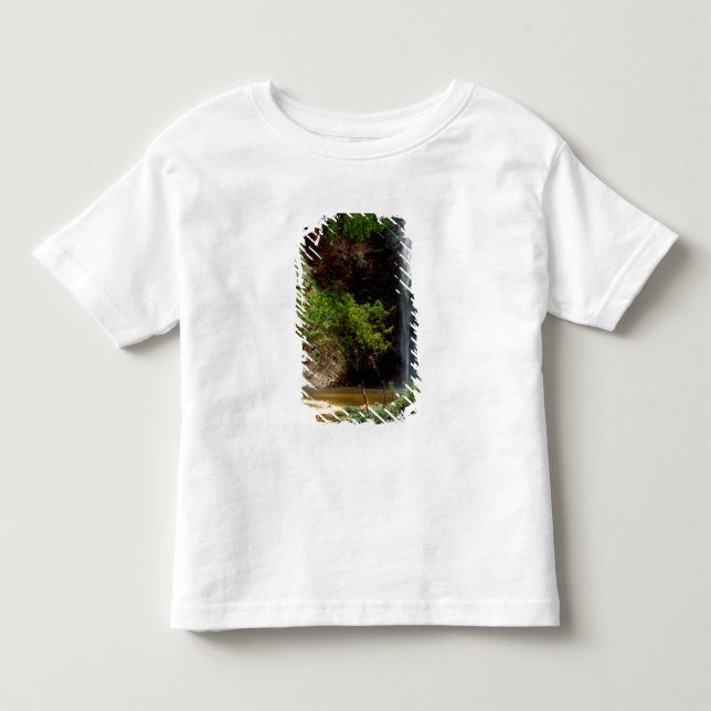 Ghana: Wli Falls, alias Agumatsa Falls (Volta) Kleinkind T-shirt (Vorderseite)