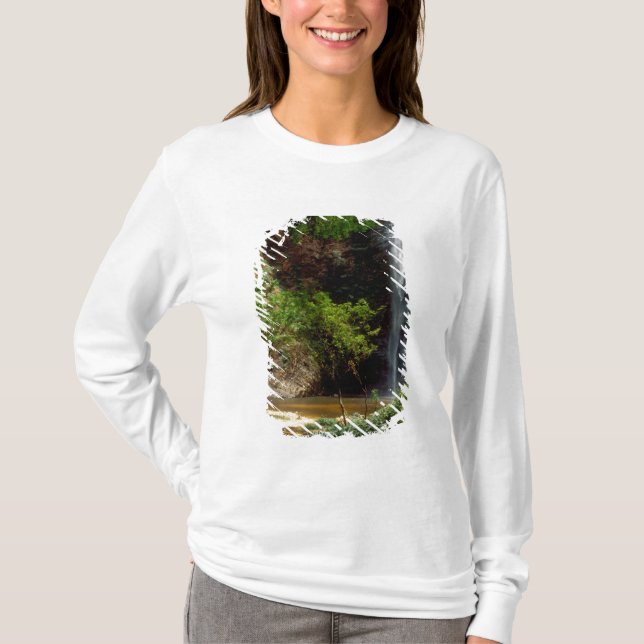 Ghana: Wli Falls, alias Agumatsa Falls (Volta) T-Shirt (Vorderseite)