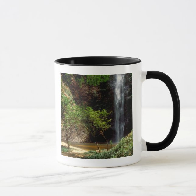 Ghana: Wli Falls, alias Agumatsa Falls (Volta) Tasse (Rechts)