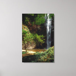 Ghana: Wli Falls, auch bekannt als Agumatsa Falls  Leinwanddruck