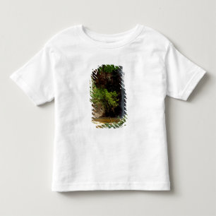 Ghana: Wli-Wasserfälle, auch Agumatsa-Wasserfälle  Kleinkind T-shirt