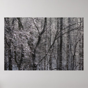 Ghear Icy Forest in Morgenlicht I Poster