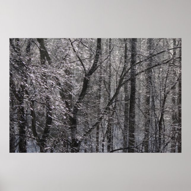 Ghear Icy Forest in Morgenlicht I Poster (Vorne)