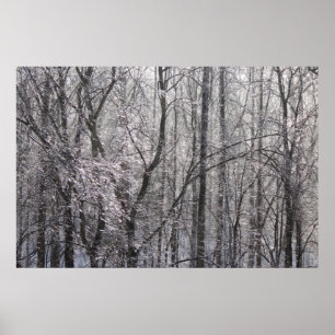 Ghear Icy Forest in Morgenlicht II Poster