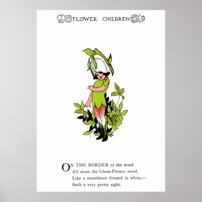 Ghost-Blume Poster (Vorne)