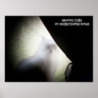 Ghost Cat beobachtet Sie