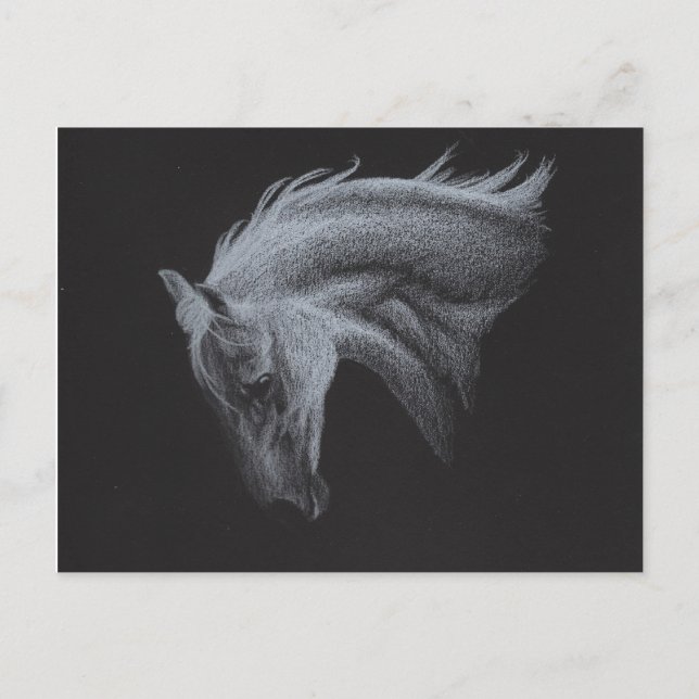 Ghost Horse Collection Postkarte (Vorderseite)
