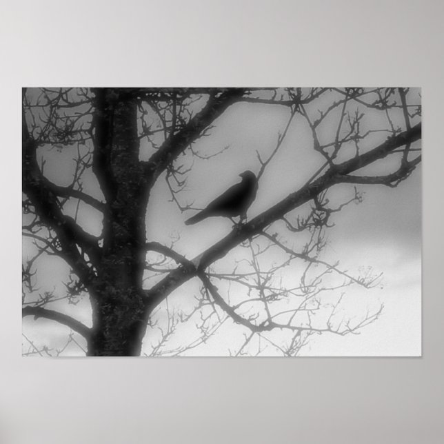 Ghost Raven Poster (Vorne)