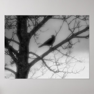 Ghost Raven Poster