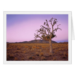 " Ghosted Shape Shifter "