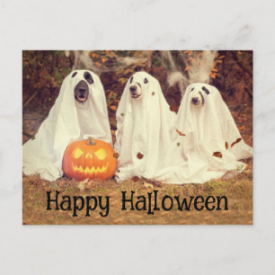 Ghostie Pups Happy Halloween Postkarte