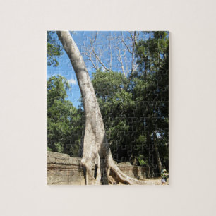 Giant Banyan Tree ... Ta Prohm Temple, Kambodscha