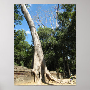 Giant Banyan Tree ... Ta Prohm Temple, Kambodscha Poster