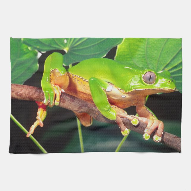 Giant Bicolor Monkey Treefrog, Phyllomedusa Geschirrtuch (Horizontal)