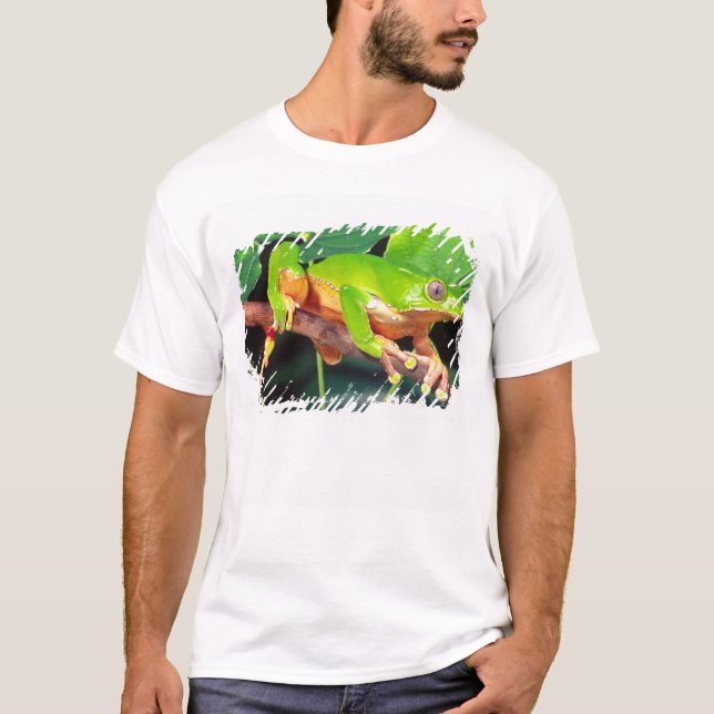 Giant Bicolor Monkey Treefrog, Phyllomedusa T-Shirt (Vorderseite)