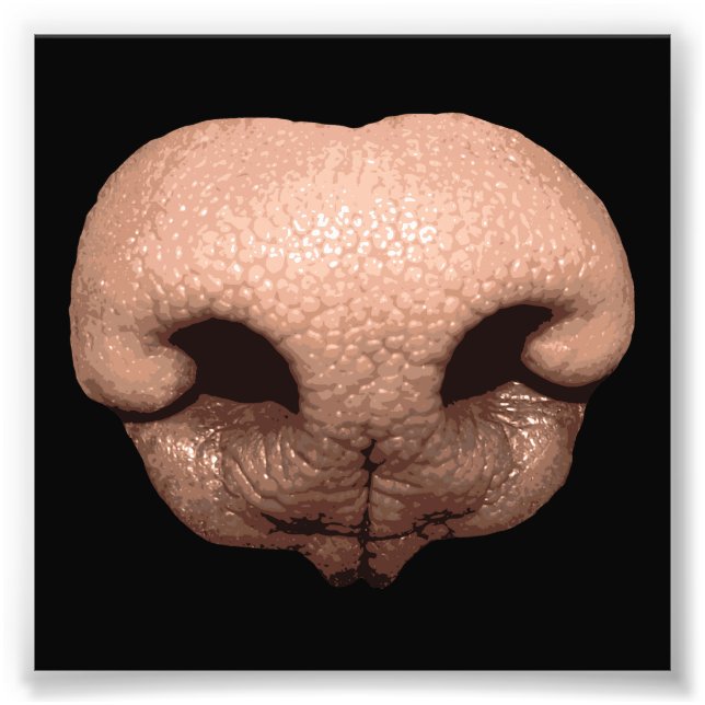 Giant Dog Nose Fotodruck (Vorne)