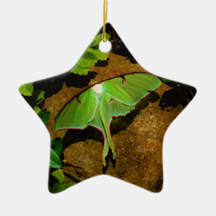 Giant Green Luna moth Keramik Ornament