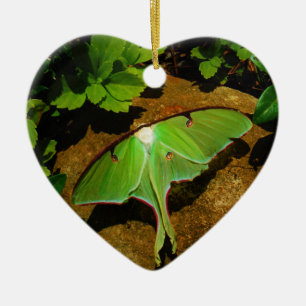 Giant Green Luna moth Keramikornament
