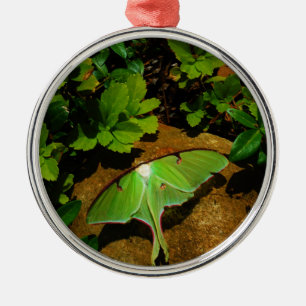 Giant Green Luna moth Ornament Aus Metall