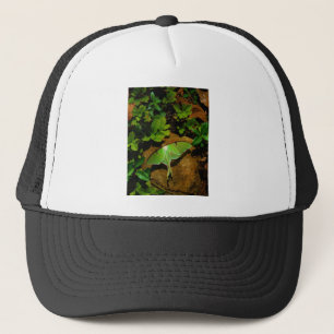 Giant Green Luna moth Truckerkappe