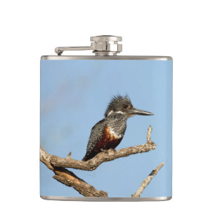 Giant Kingfisher Flachmann