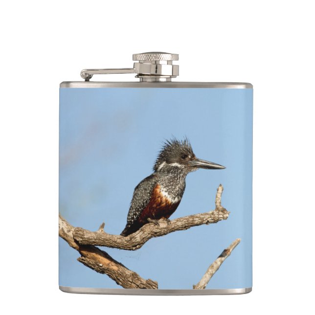 Giant Kingfisher Flachmann (Vorderseite)