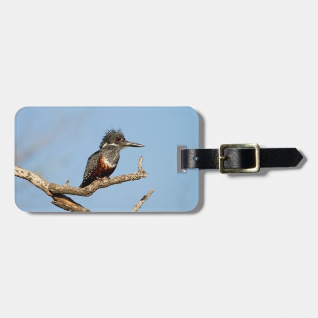 Giant Kingfisher Gepäckanhänger (Vorderseite horizontal)
