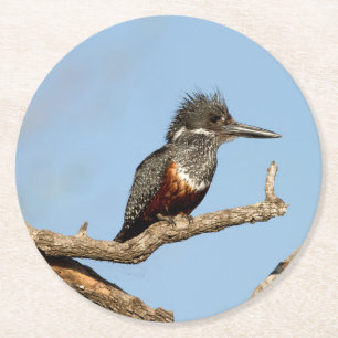Giant Kingfisher Runder Pappuntersetzer