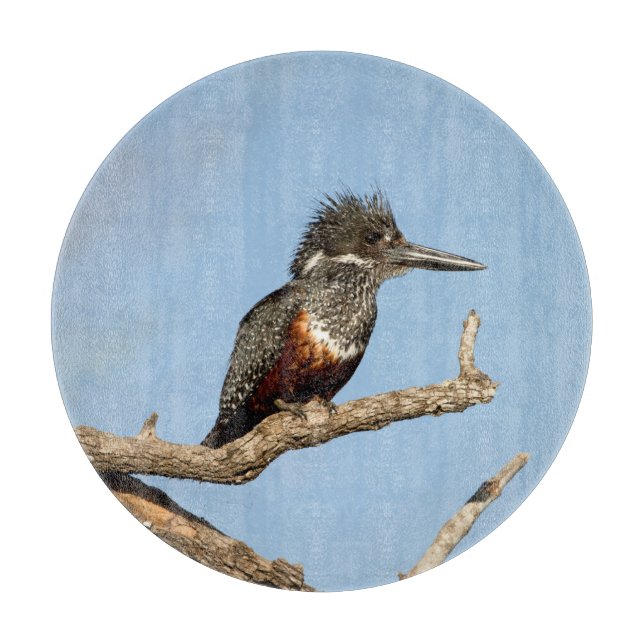 Giant Kingfisher Schneidebrett (Vorderseite)