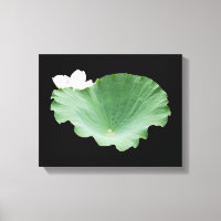 Giant Lotus Leaf mit Bloom