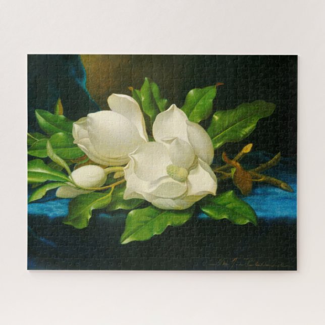 Giant Magnolias auf einem blauen Samttuch (Heade) (Horizontal)