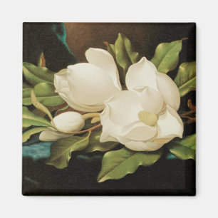 Giant Magnolias auf einem blauen Samttuch von MJ H Magnet