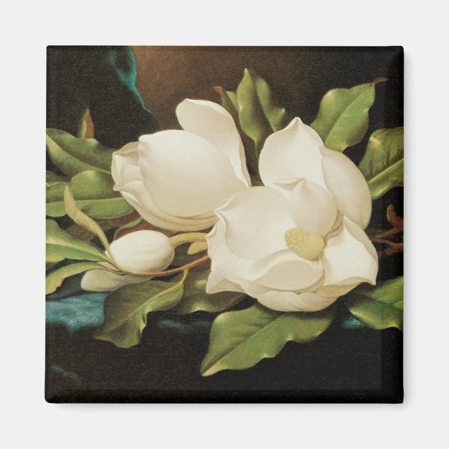 Giant Magnolias auf einem blauen Samttuch von MJ H Magnet (Vorne)