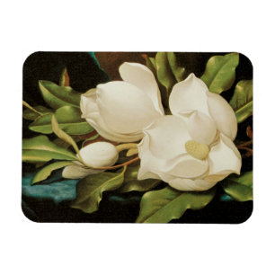Giant Magnolias auf einem blauen Samttuch von MJ H Magnet